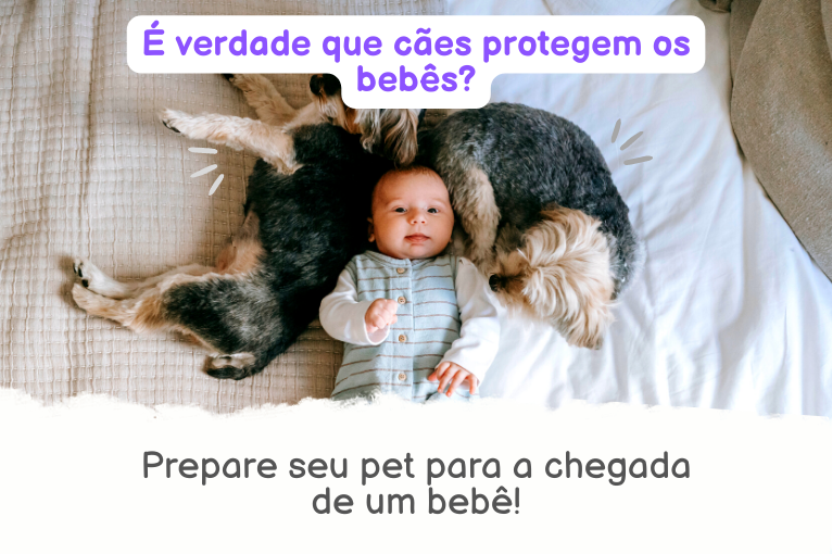 1121É verdade que cães protegem os bebês?