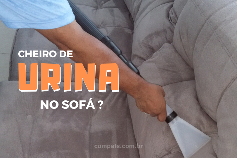 283Saiba como tirar cheiro de urina do sofá