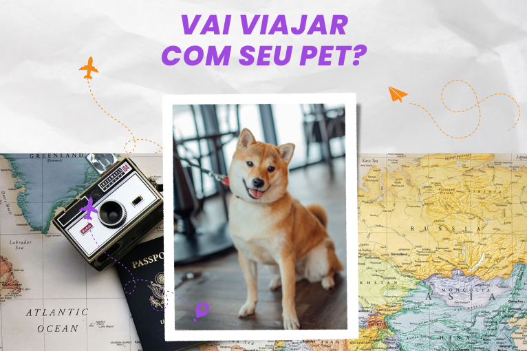 223Confira as melhores dicas para viajar com cachorro