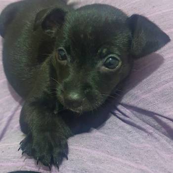 Lunna imagem 1 - 