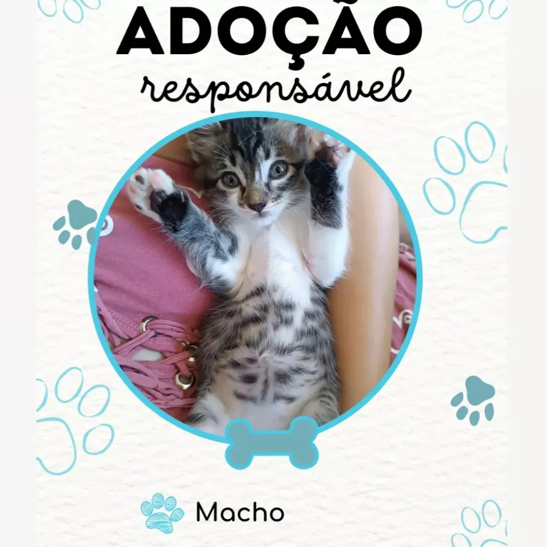 Léo - Sem Raça Definida