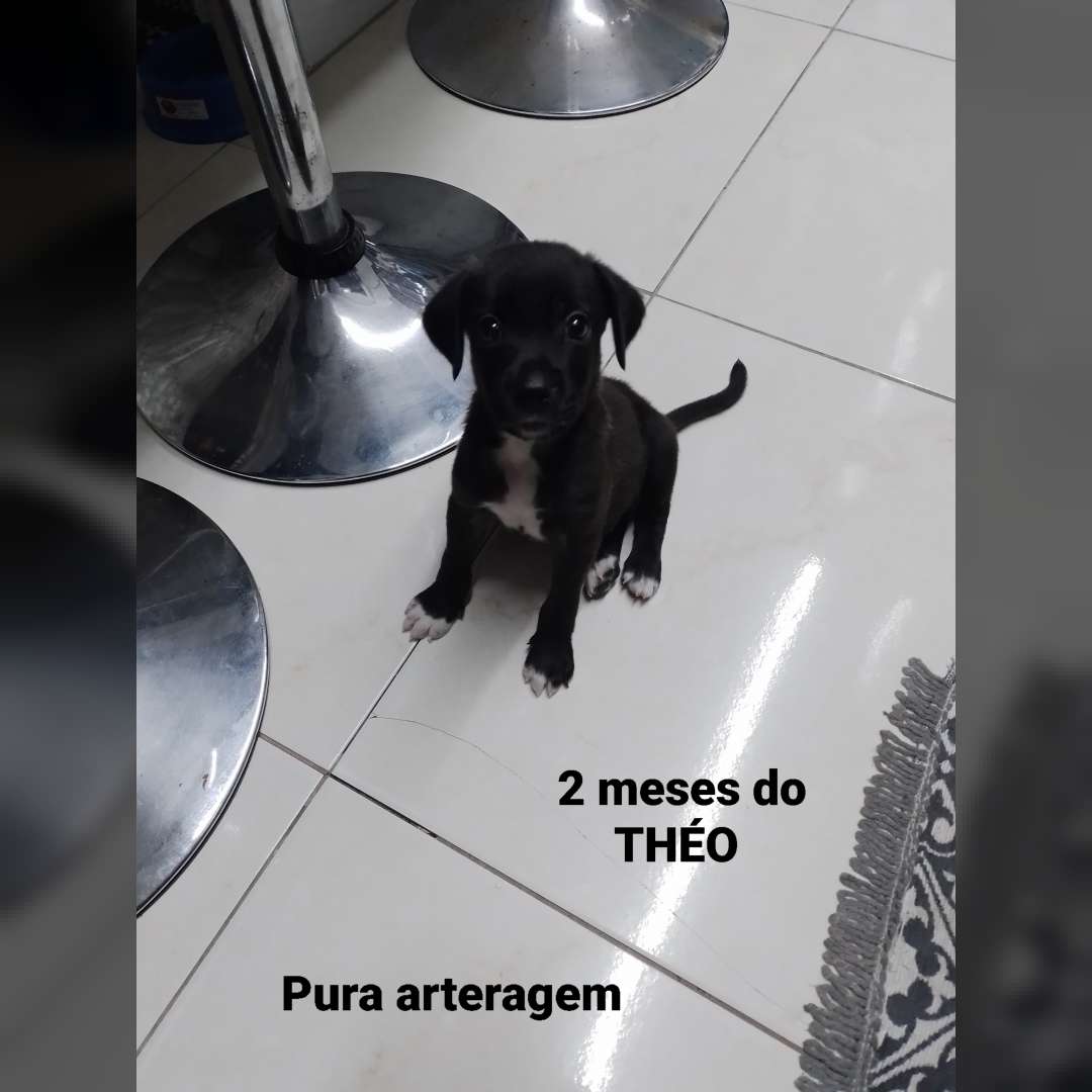 Théo - 
