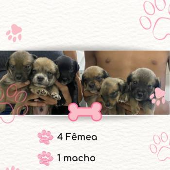 Sem Nomes imagem 1 - 