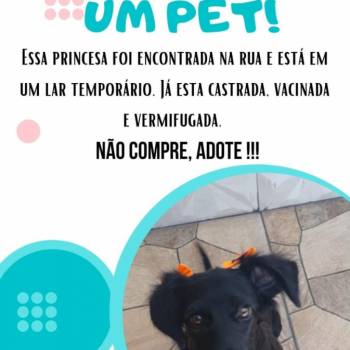 Índia imagem 1 - 