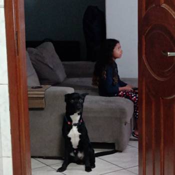 Zeca imagem 3 - 