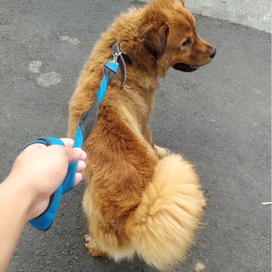 Luke - Sem Raça Definida