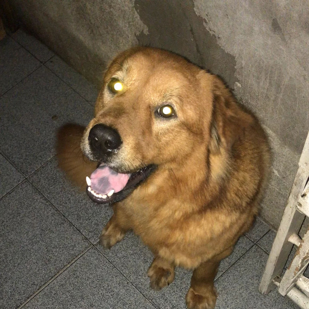 Luke - Sem Raça Definida