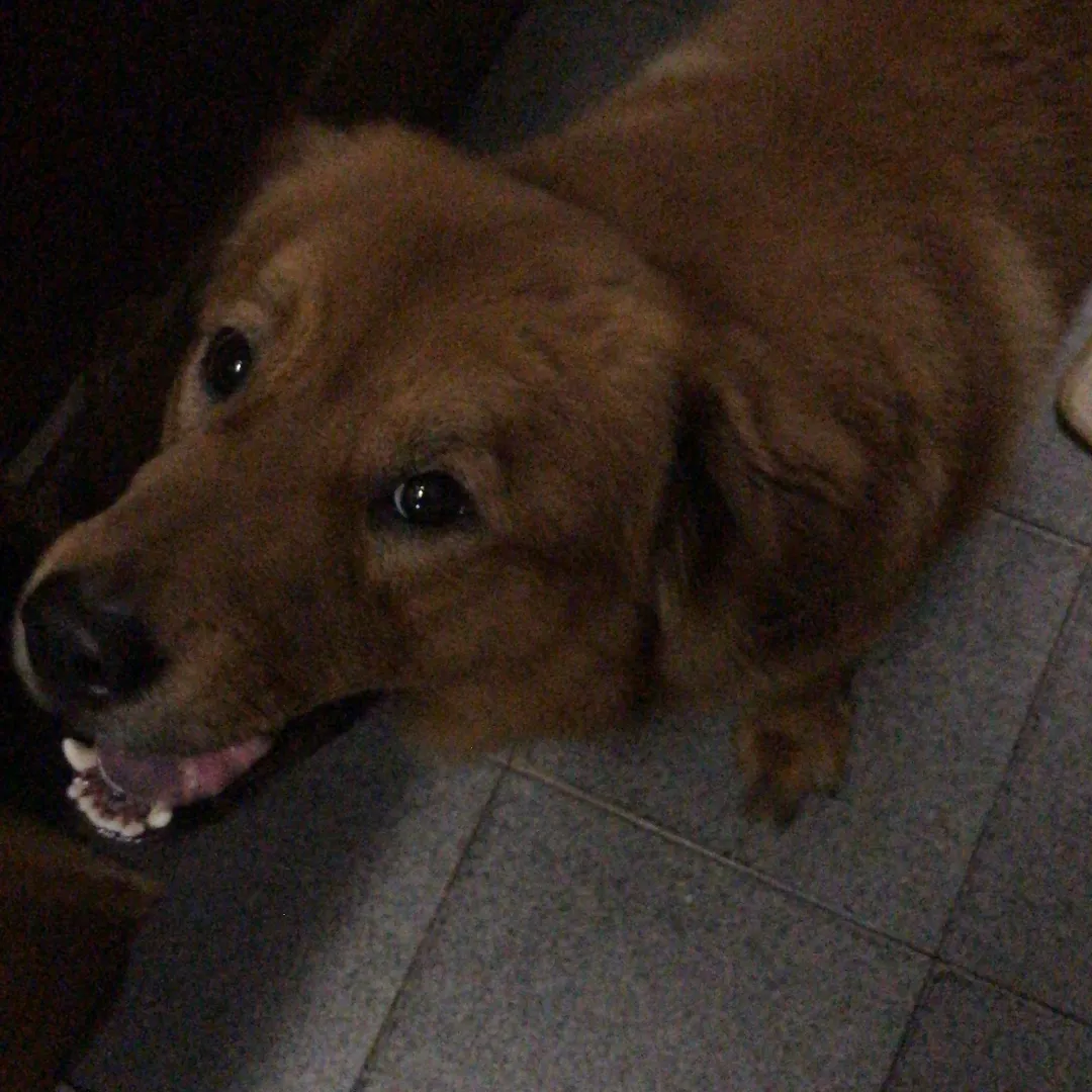 Luke - Sem Raça Definida