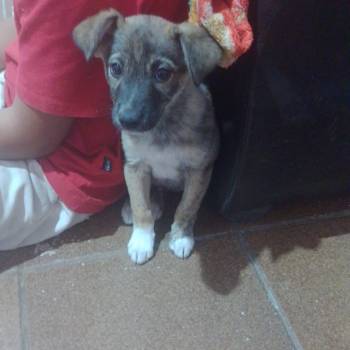 Billy imagem 1 - 