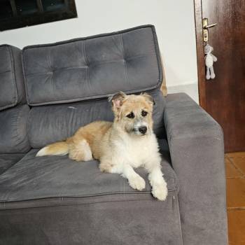 Sky imagem 3 - 