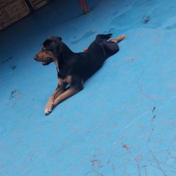 Athos imagem 1 - 