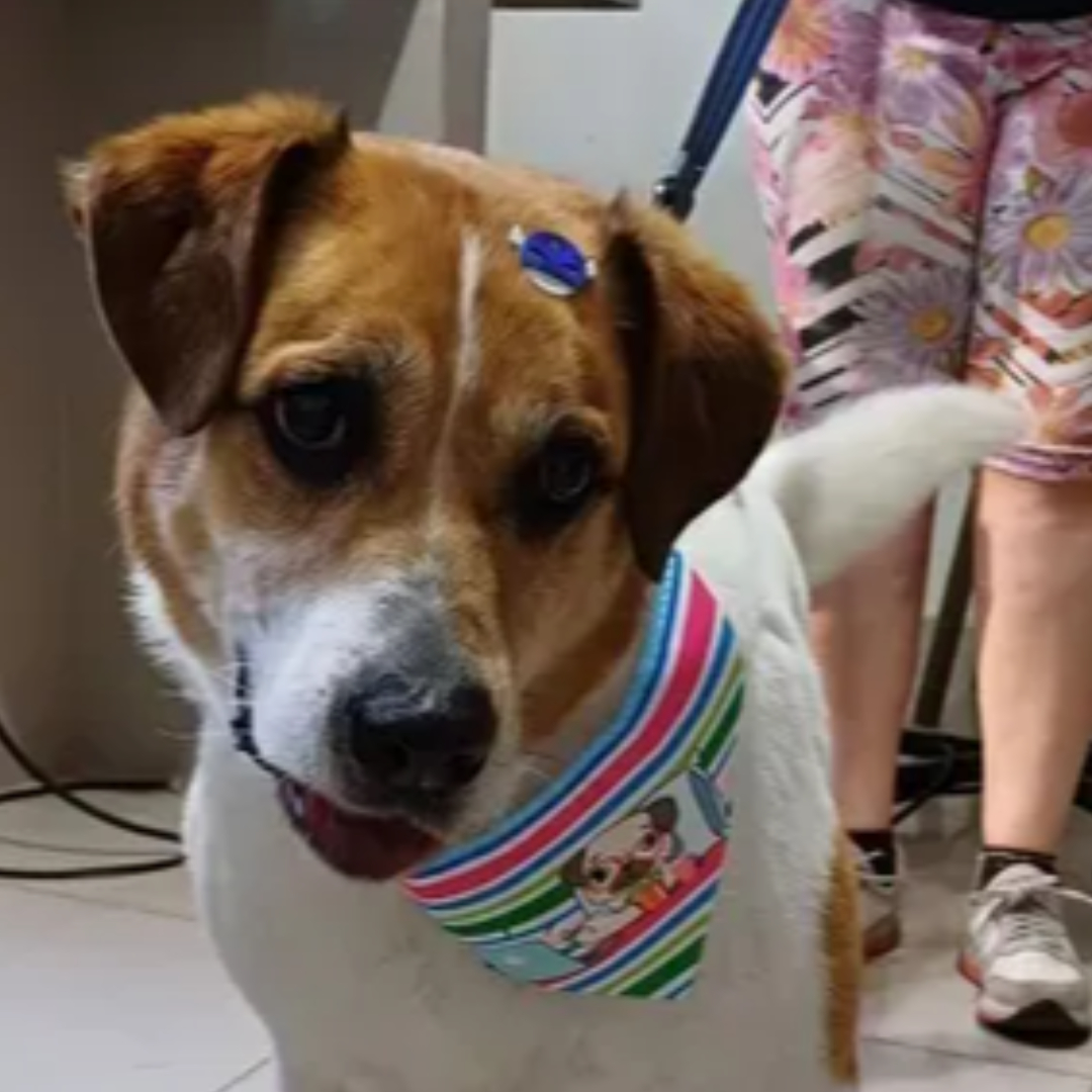 Billy imagem 3 - Sem Raça Definida