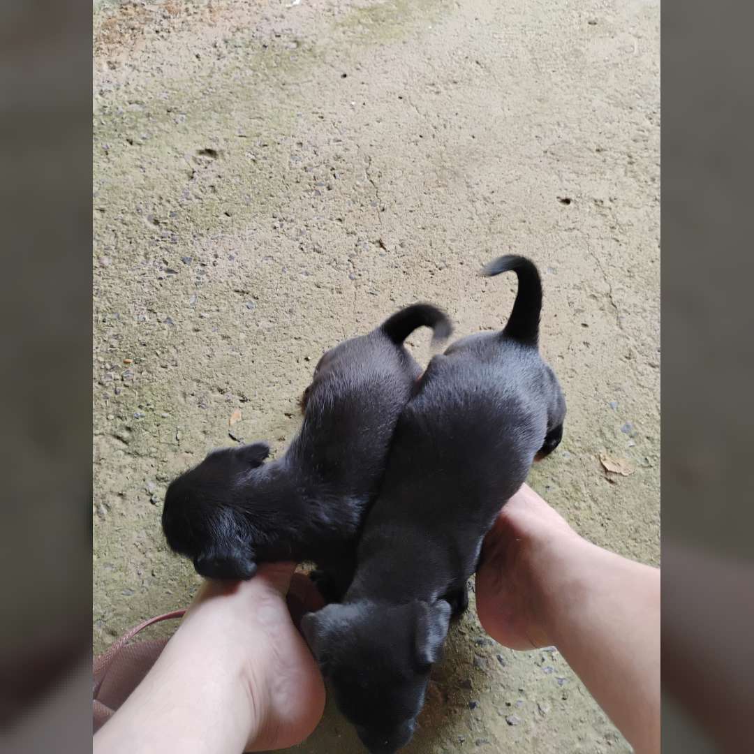 Não Tem Nome Ainda - 