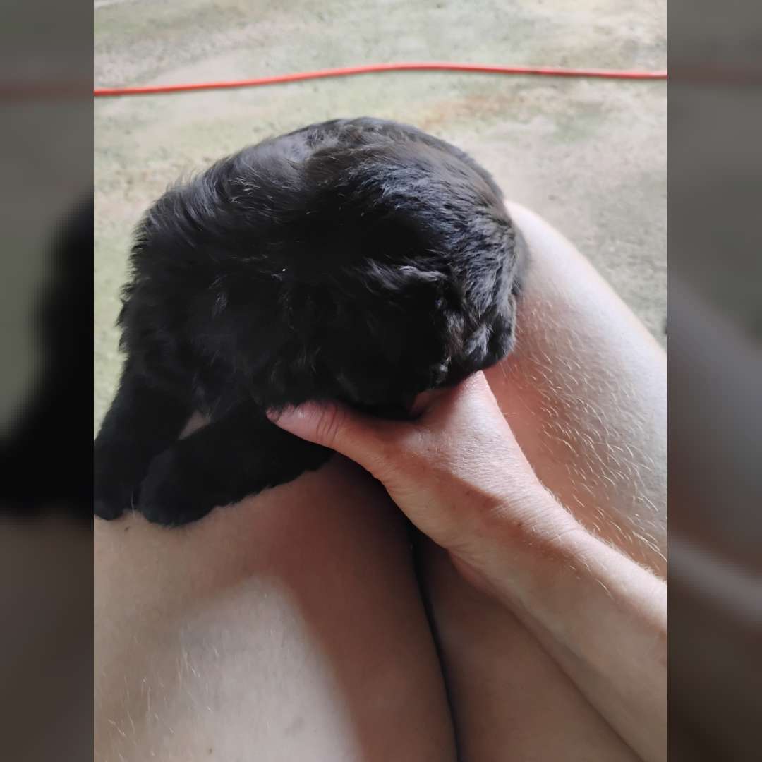 Não Tem Nome Ainda - 