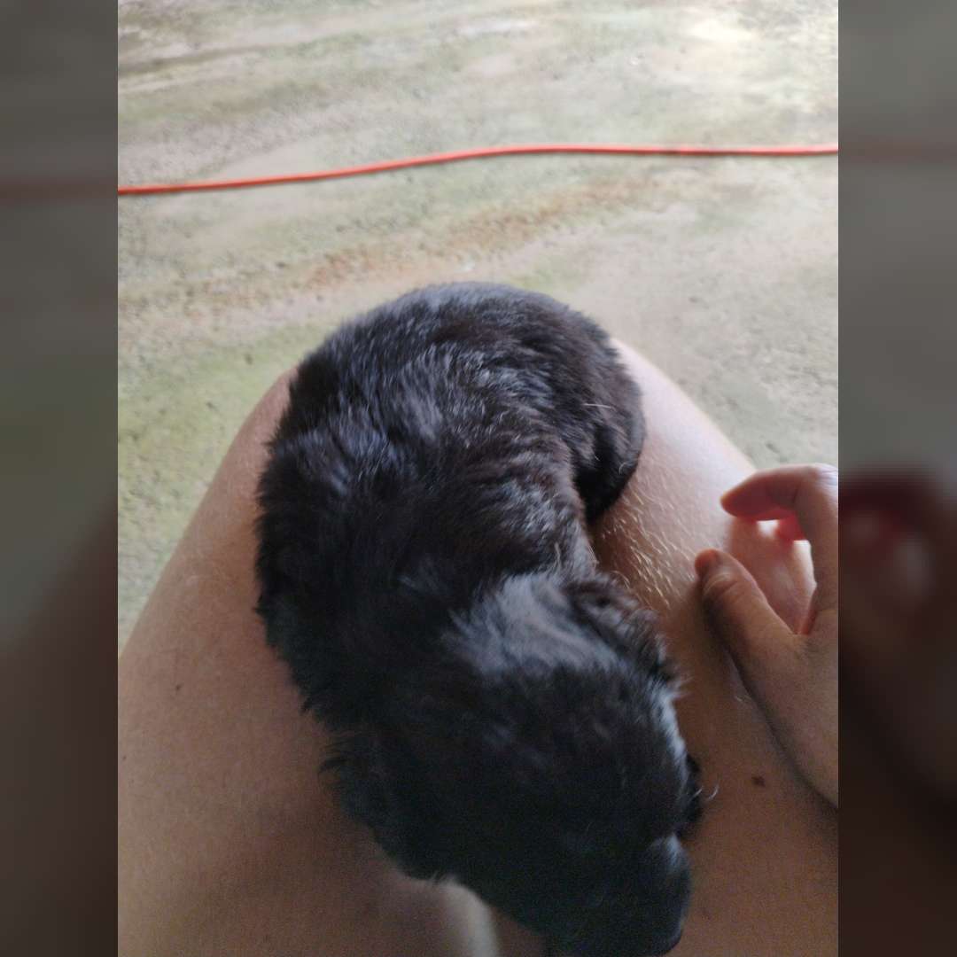 Não Tem Nome Ainda - 