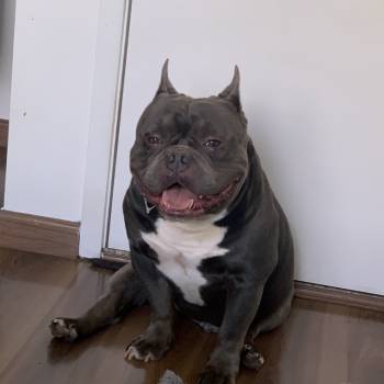 Paçoca imagem 1 - 