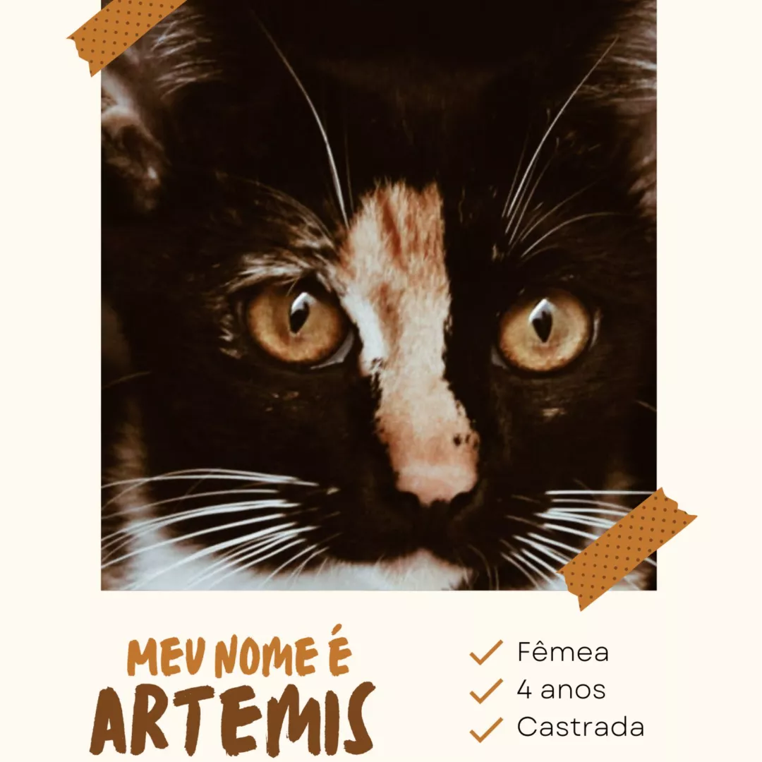 Artemis - Sem Raça Definida