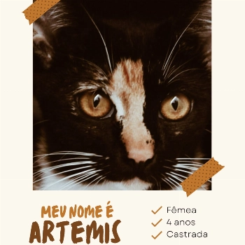 Artemis imagem 1 - Sem Raça Definida