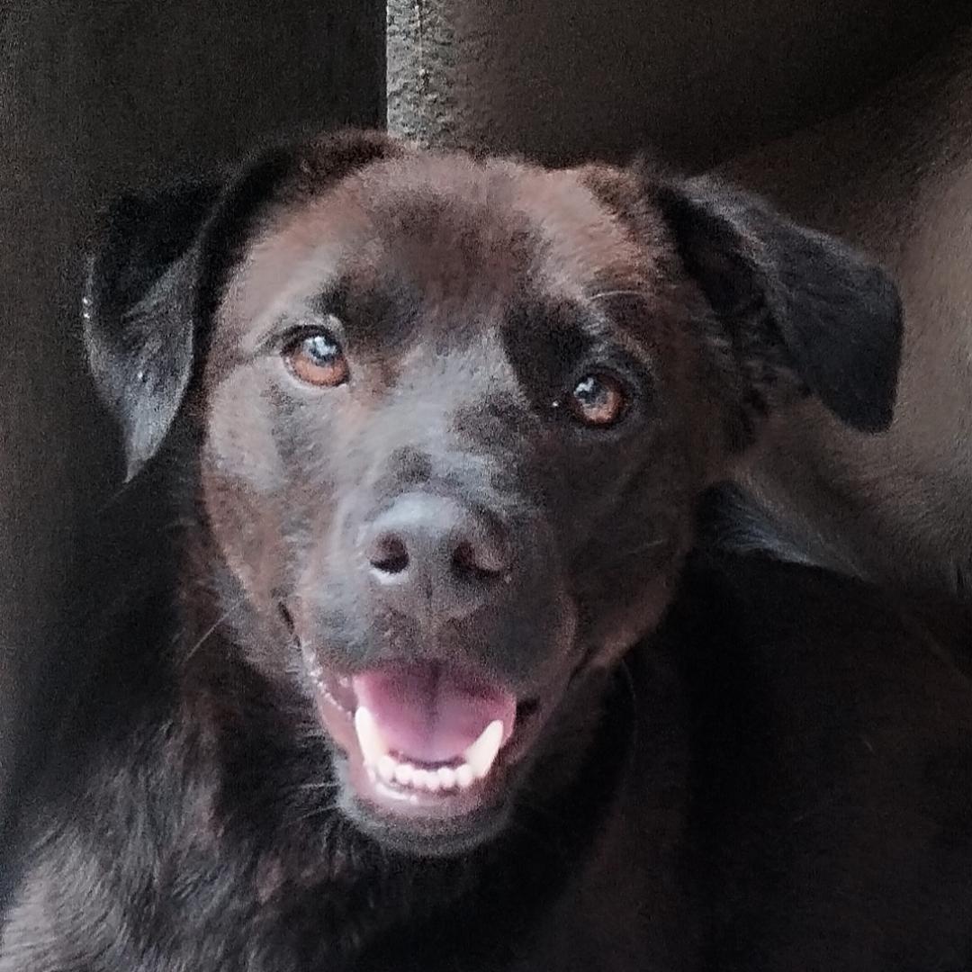 Foto do perfil