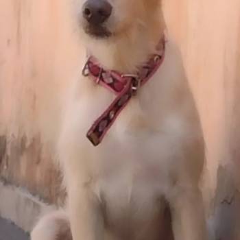 Bela imagem 1 - 