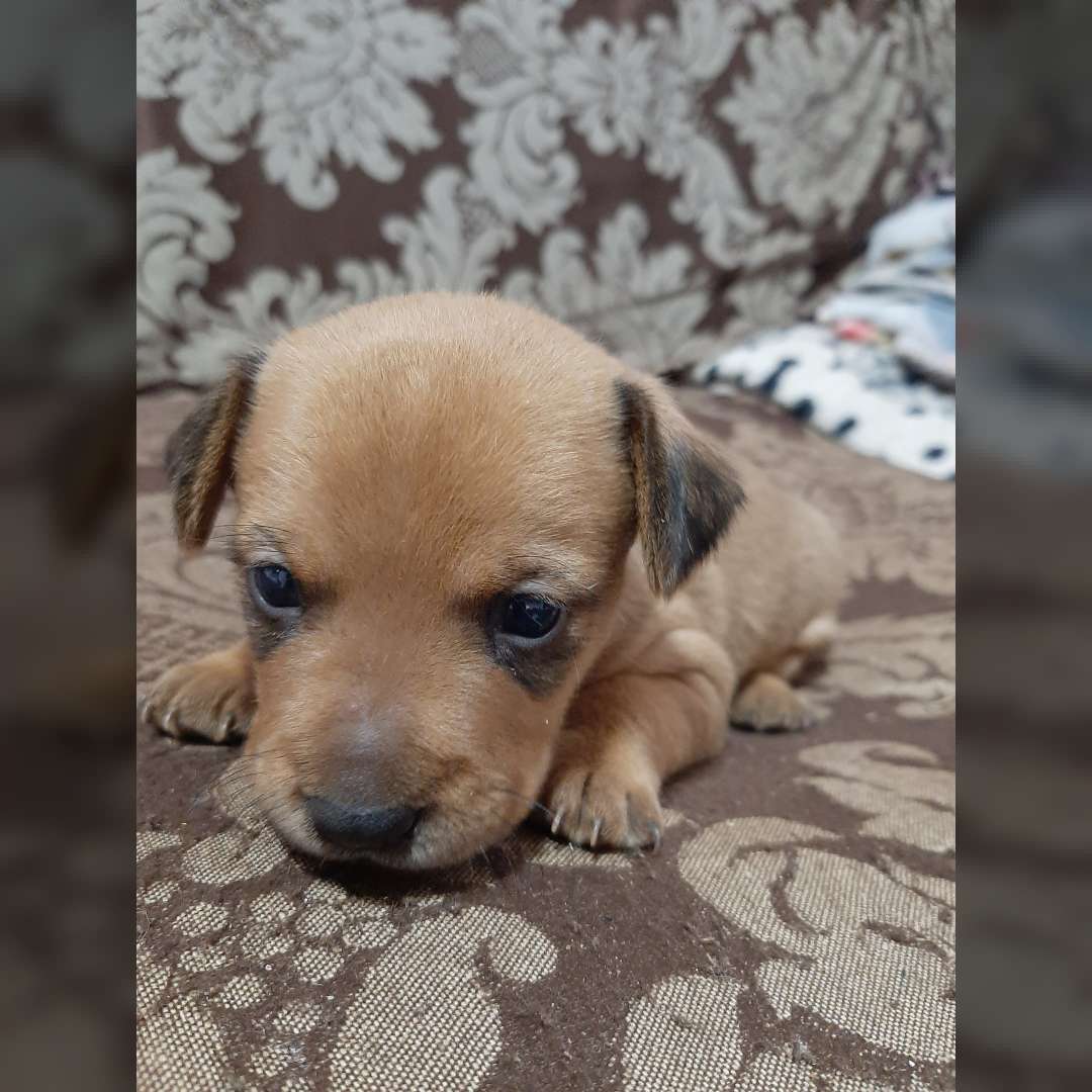 Não Tem Nome Ainda - 