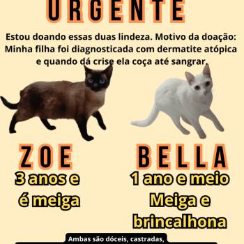Zoe E Bella imagem 1 - 