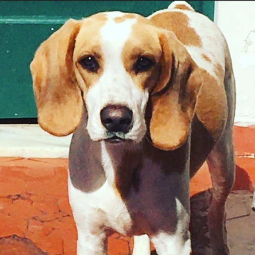 Foto do perfil