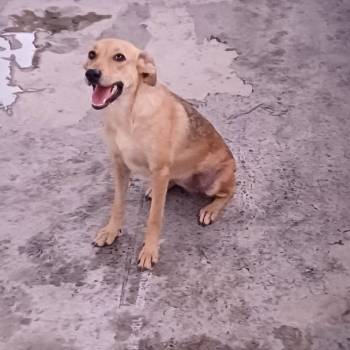 Cloe imagem 1 - 