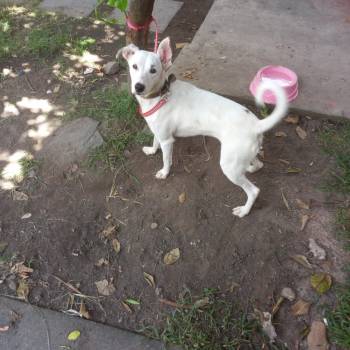 Lupita imagem 1 - 