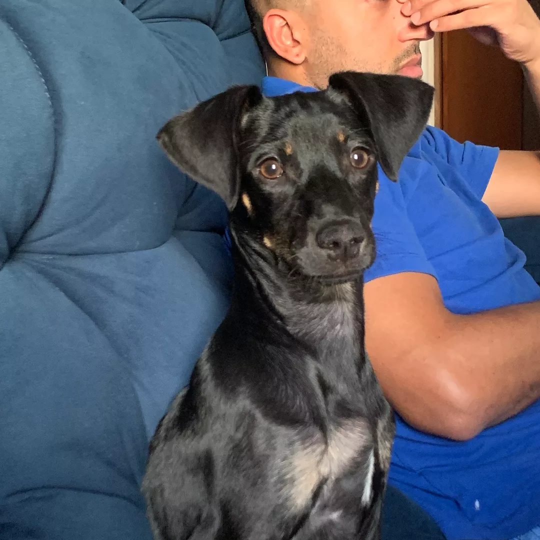 Mag - Sem Raça Definida