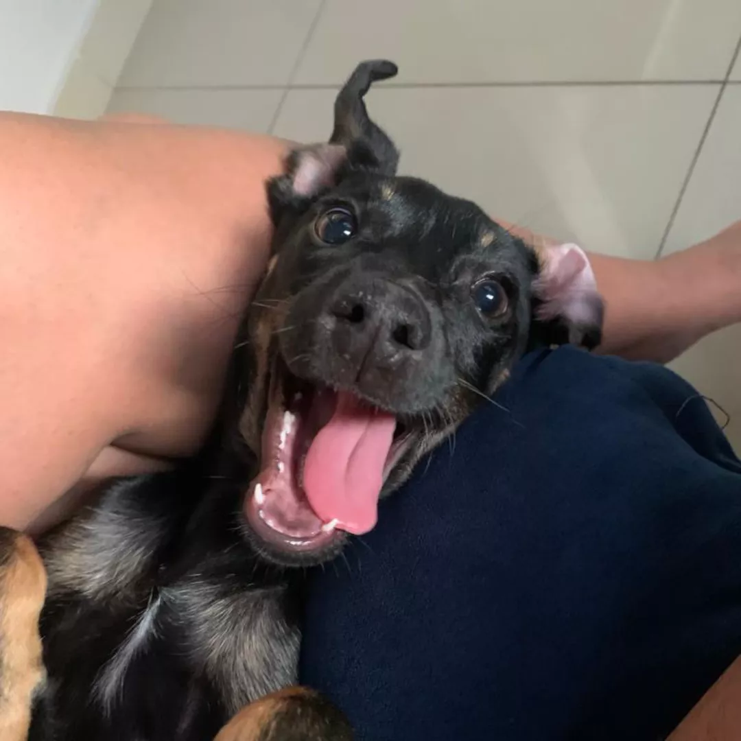 Mag - Sem Raça Definida