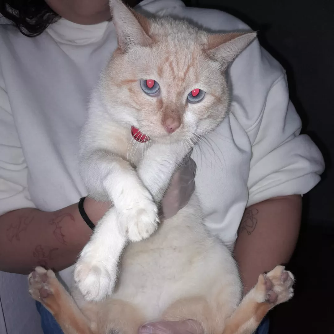 Peter Parker - Sem Raça Definida