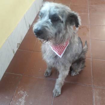 Reth imagem 1 - 
