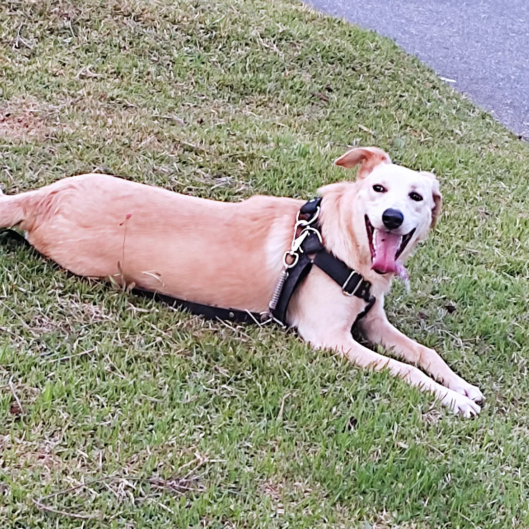 Spaike - Sem Raça Definida