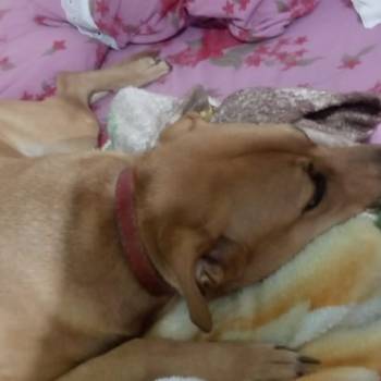 Kiara imagem 3 - 
