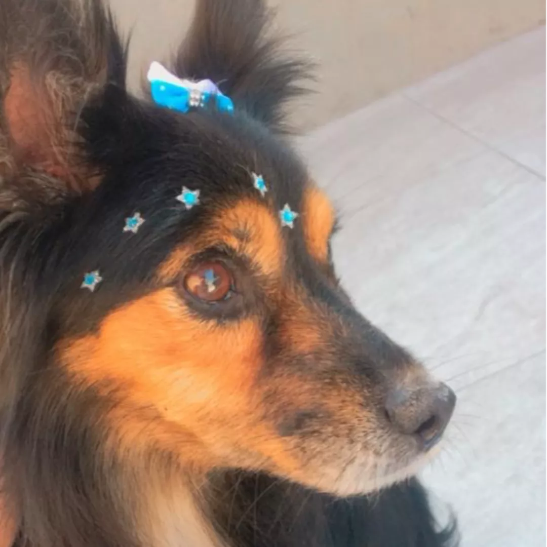 Mag - Sem Raça Definida