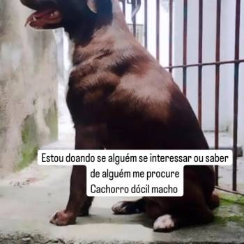 Spaike imagem 1 - 