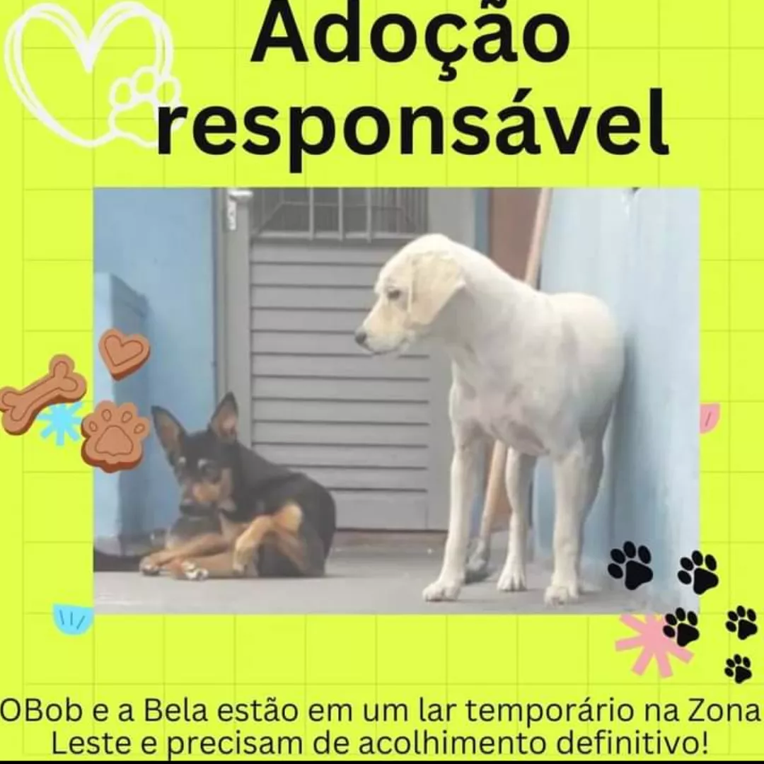 Bela - Sem Raça Definida