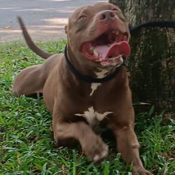 Zeus imagem 1 - 