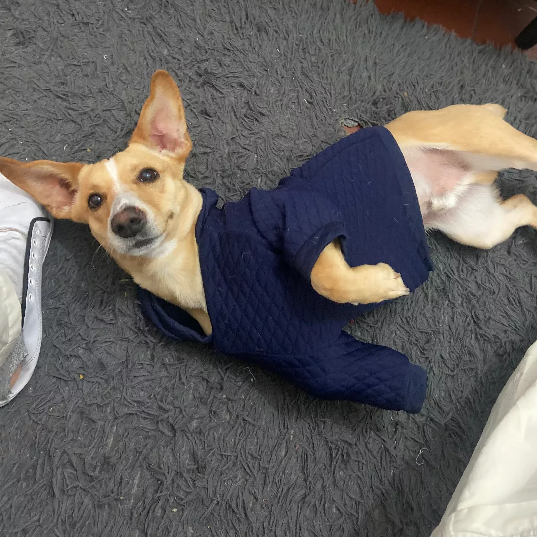 Nick - Sem Raça Definida