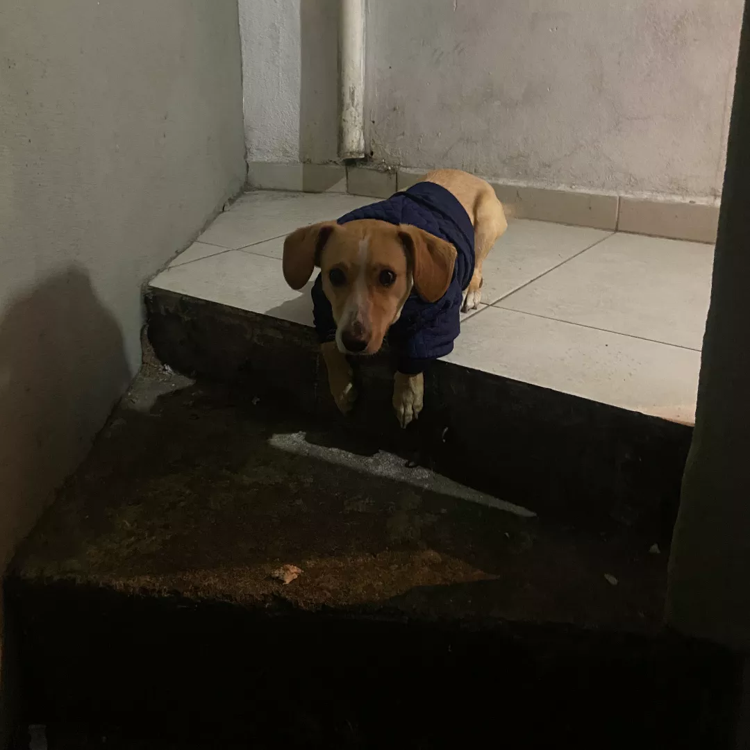 Nick - Sem Raça Definida