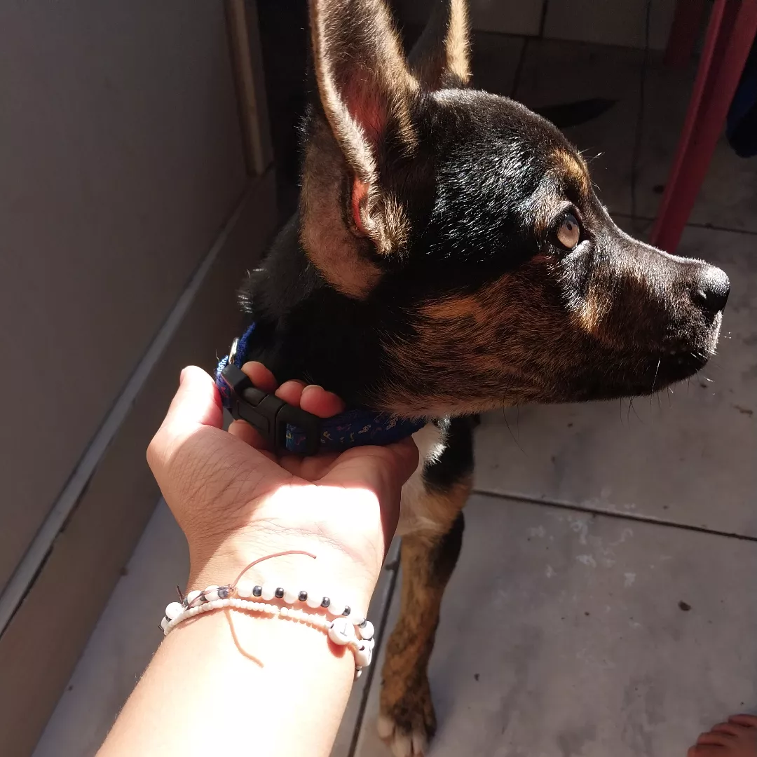 Castiel - Sem Raça Definida