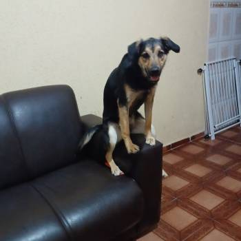 Kiara imagem 1 - 