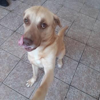 Duki imagem 1 - 