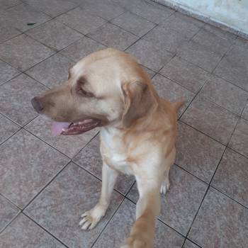 Duki imagem 2 - 