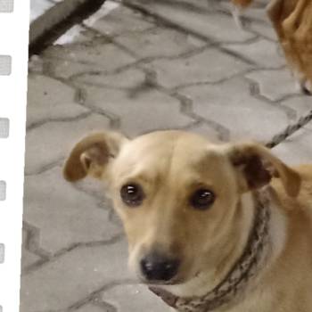 Clarice imagem 1 - 