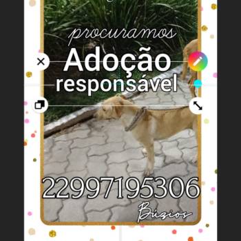 Clarice imagem 2 - 