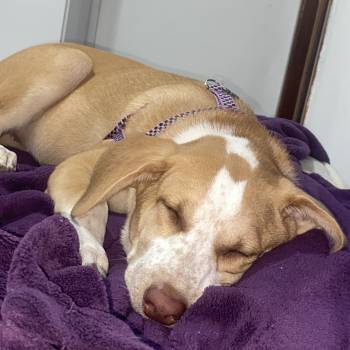 Jully imagem 2 - 