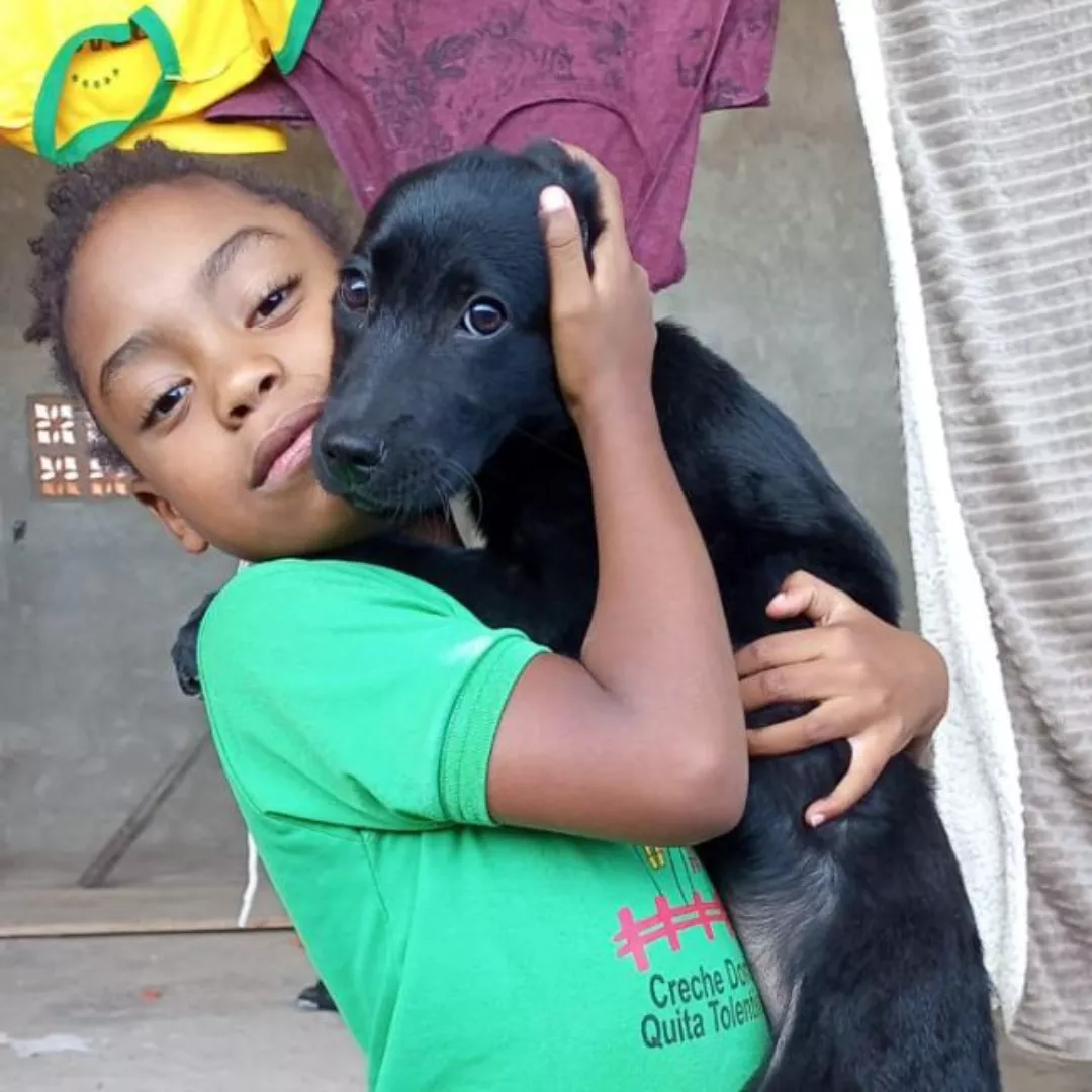 Pretinha - Labrador Retriever