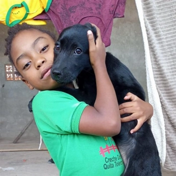 Pretinha imagem 1 - Labrador Retriever